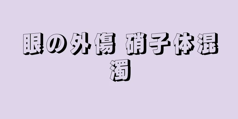 眼の外傷 硝子体混濁