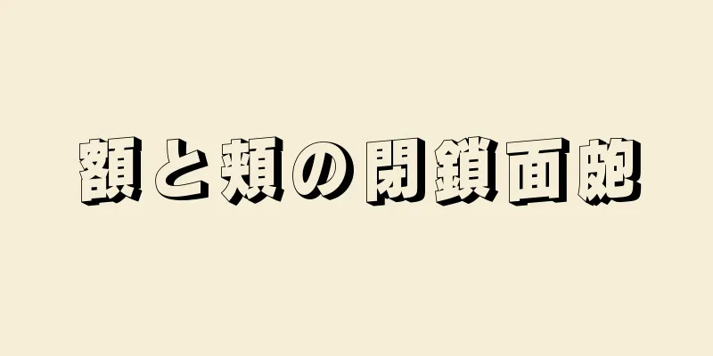 額と頬の閉鎖面皰