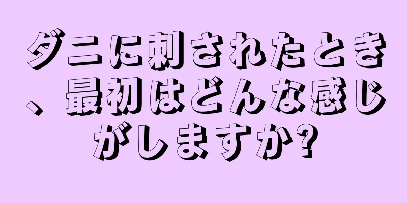 ダニに刺されたとき、最初はどんな感じがしますか?