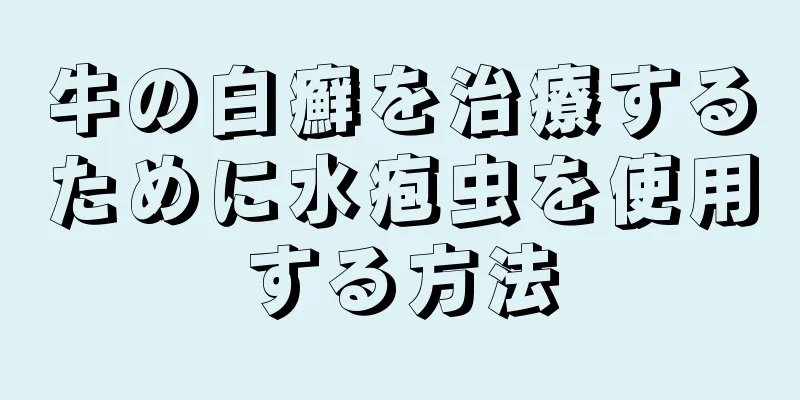 牛の白癬を治療するために水疱虫を使用する方法