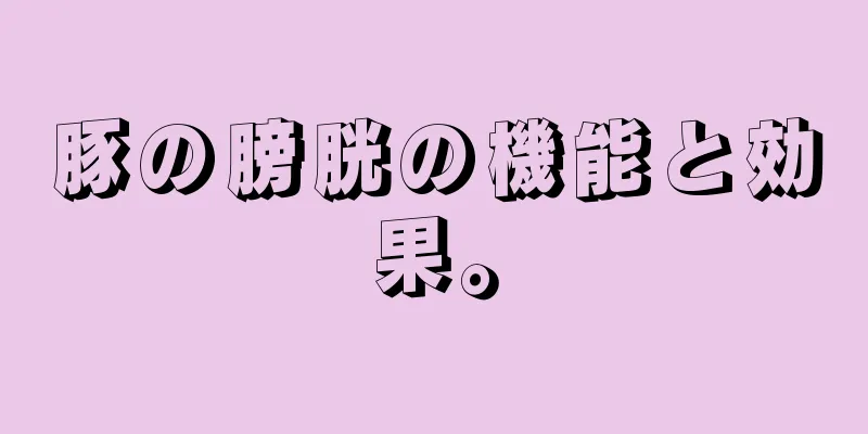 豚の膀胱の機能と効果。