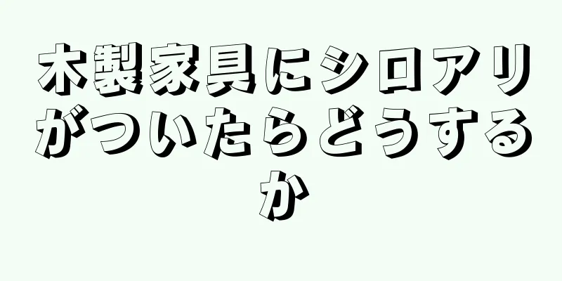 木製家具にシロアリがついたらどうするか