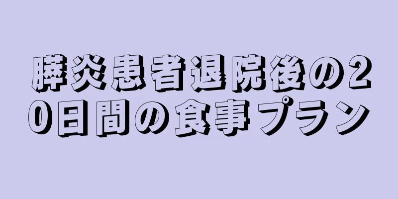 膵炎患者退院後の20日間の食事プラン