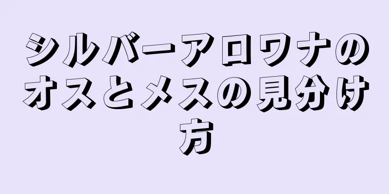 シルバーアロワナのオスとメスの見分け方