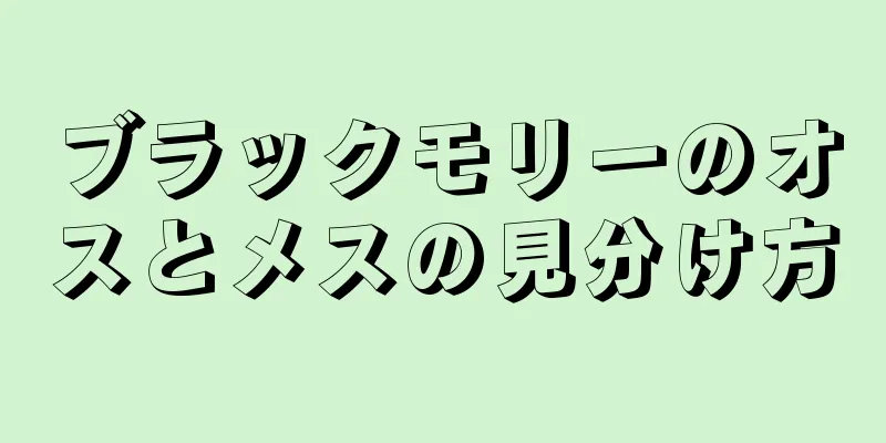 ブラックモリーのオスとメスの見分け方