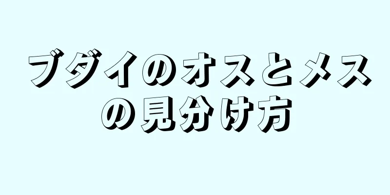 ブダイのオスとメスの見分け方