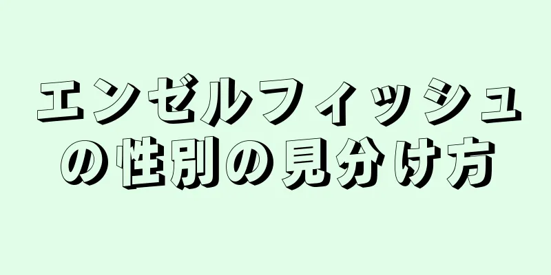 エンゼルフィッシュの性別の見分け方