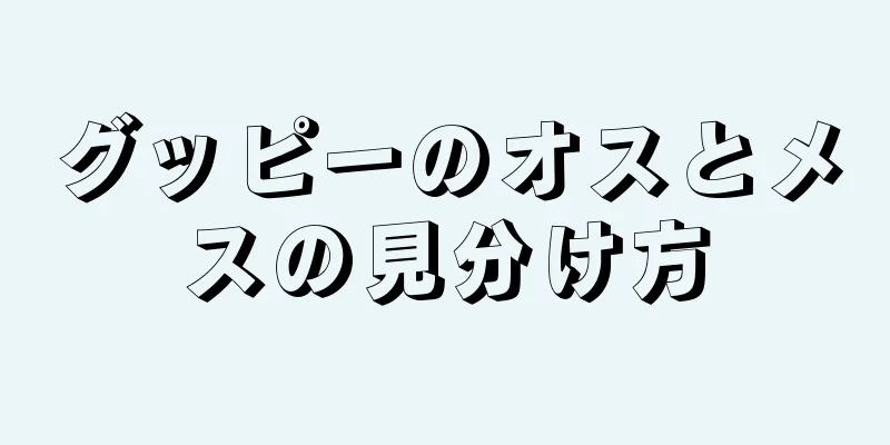 グッピーのオスとメスの見分け方