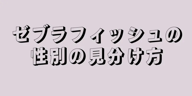 ゼブラフィッシュの性別の見分け方