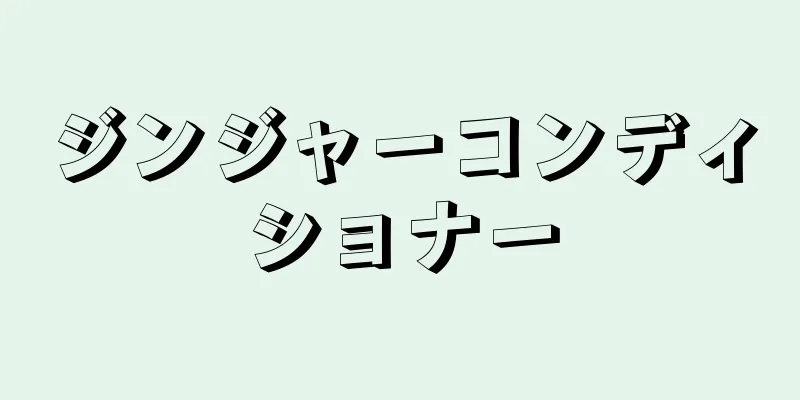 ジンジャーコンディショナー