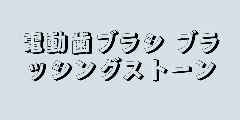 電動歯ブラシ ブラッシングストーン