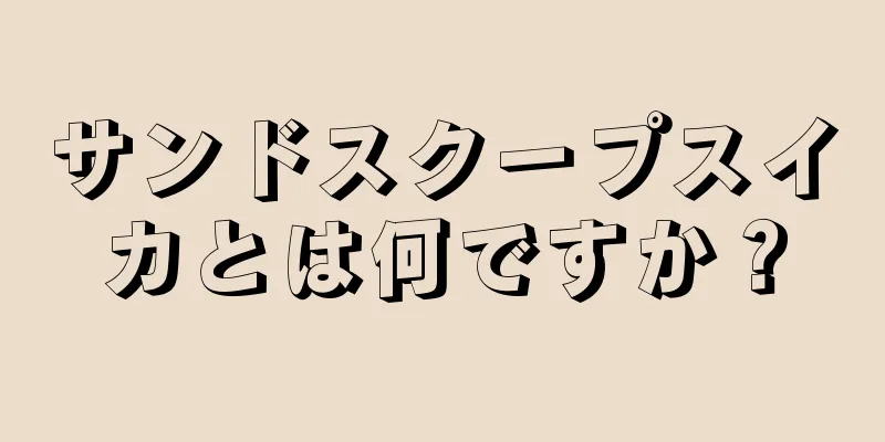 サンドスクープスイカとは何ですか？