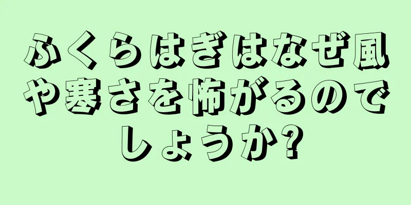 ふくらはぎはなぜ風や寒さを怖がるのでしょうか?