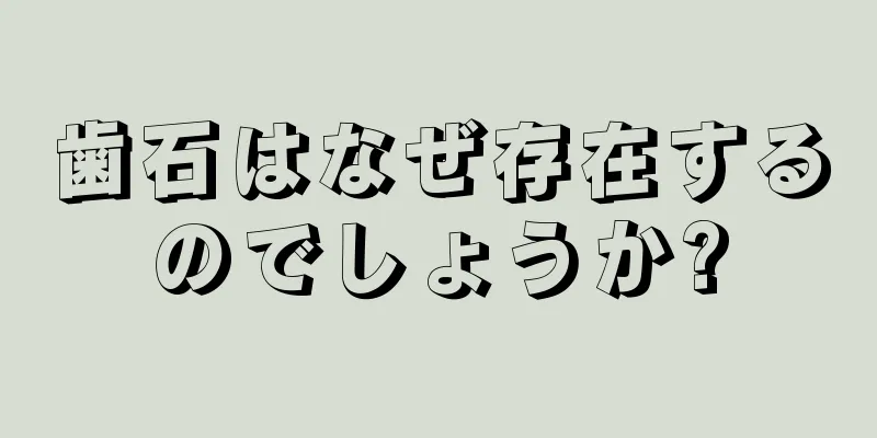 歯石はなぜ存在するのでしょうか?