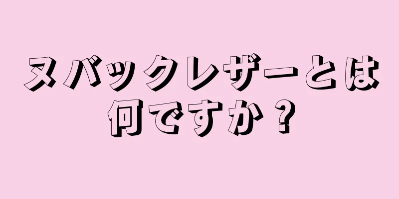 ヌバックレザーとは何ですか？