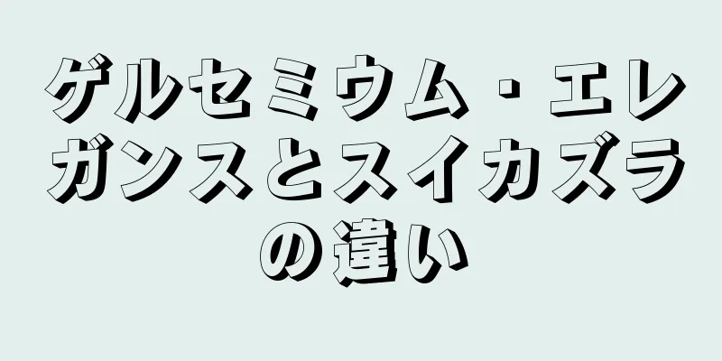 ゲルセミウム・エレガンスとスイカズラの違い