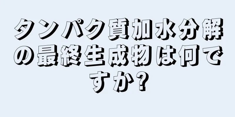 タンパク質加水分解の最終生成物は何ですか?