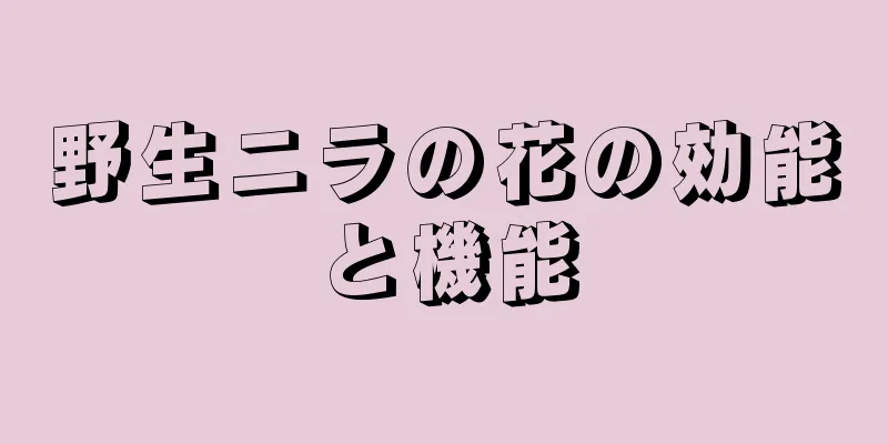 野生ニラの花の効能と機能