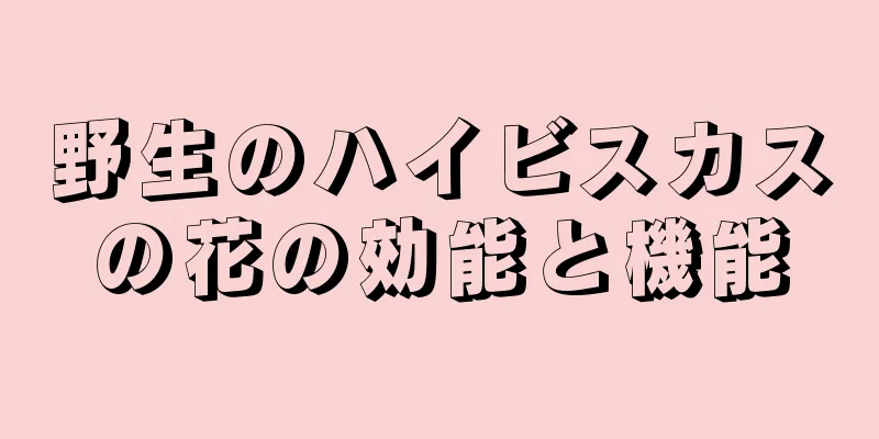 野生のハイビスカスの花の効能と機能