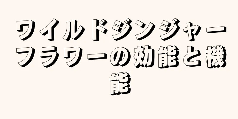 ワイルドジンジャーフラワーの効能と機能