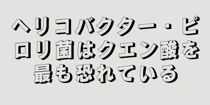 ヘリコバクター・ピロリ菌はクエン酸を最も恐れている