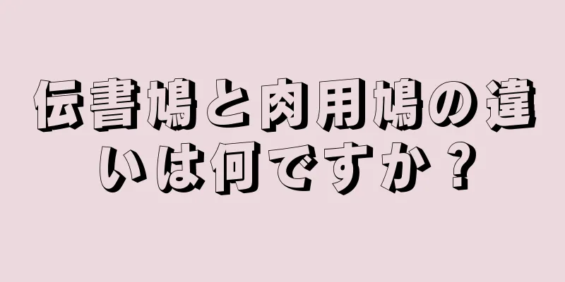 伝書鳩と肉用鳩の違いは何ですか？