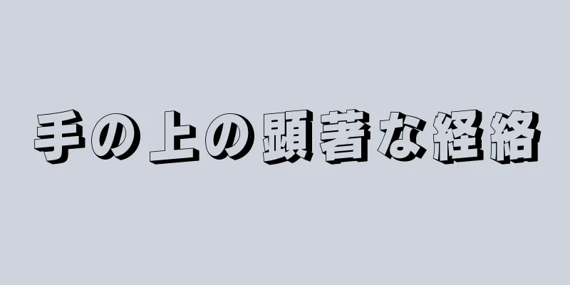 手の上の顕著な経絡