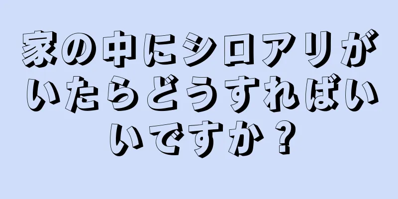 家の中にシロアリがいたらどうすればいいですか？