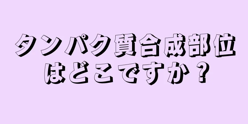 タンパク質合成部位はどこですか？