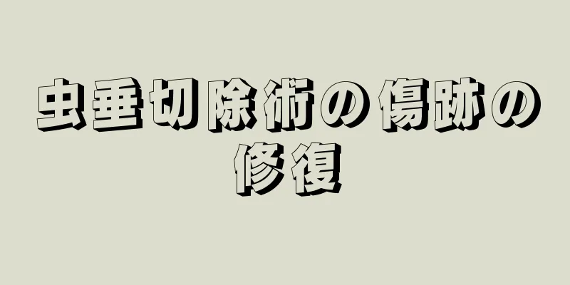 虫垂切除術の傷跡の修復