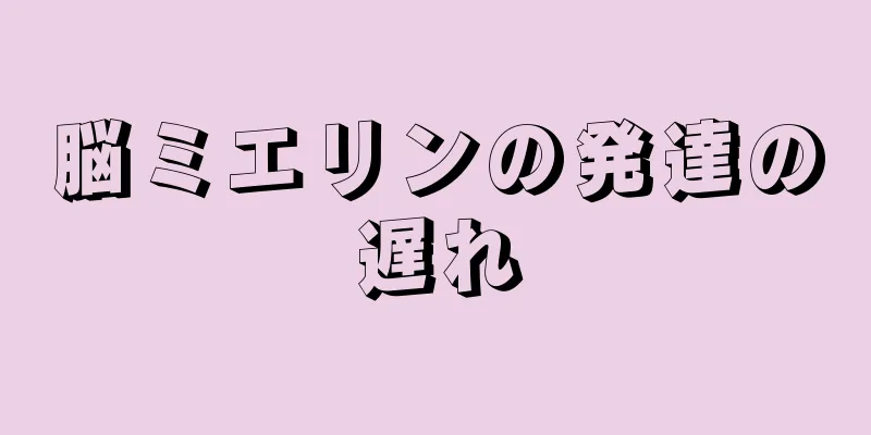 脳ミエリンの発達の遅れ