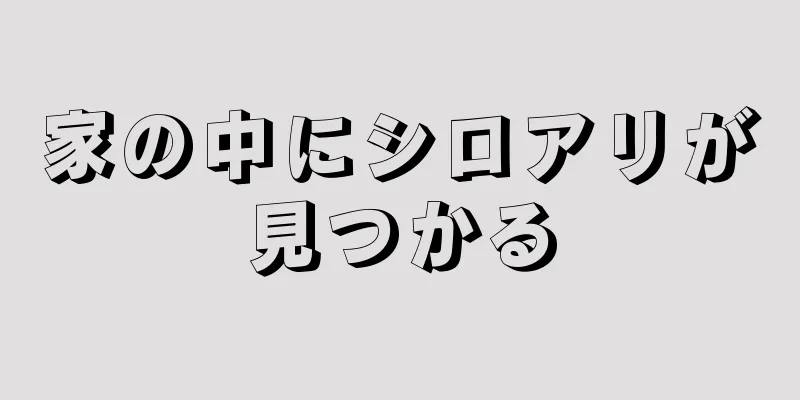 家の中にシロアリが見つかる