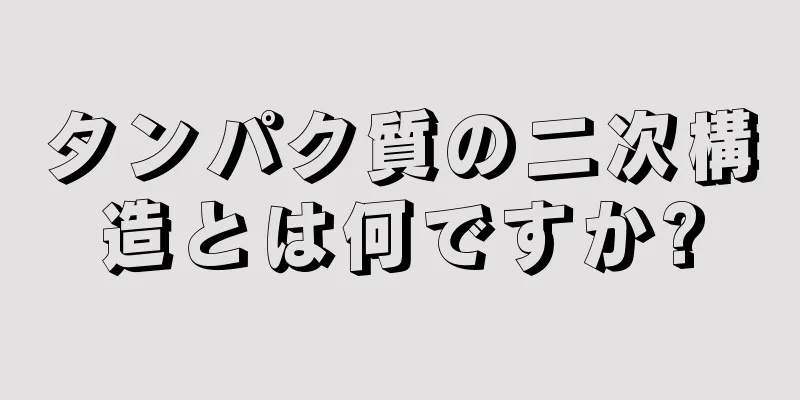 タンパク質の二次構造とは何ですか?