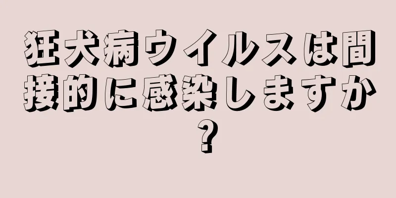 狂犬病ウイルスは間接的に感染しますか？