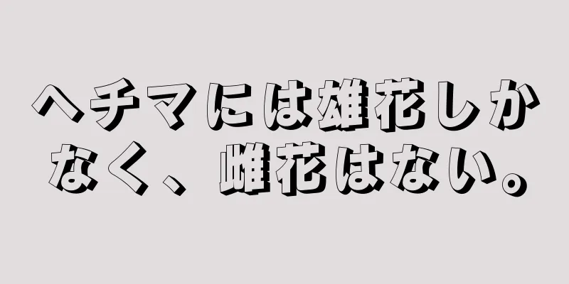 ヘチマには雄花しかなく、雌花はない。