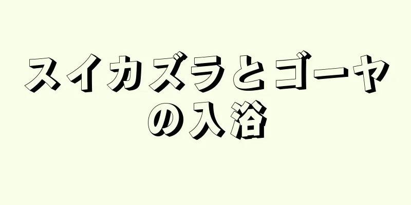 スイカズラとゴーヤの入浴