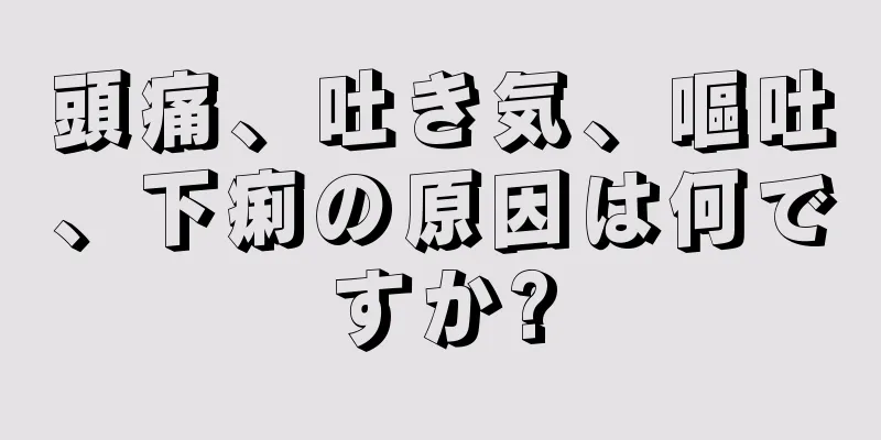 頭痛、吐き気、嘔吐、下痢の原因は何ですか?