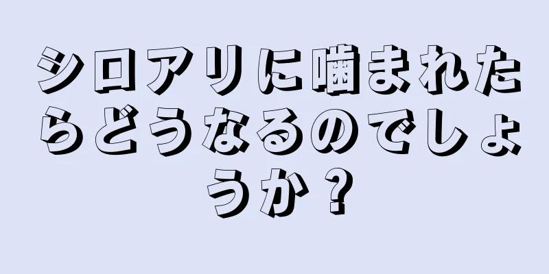 シロアリに噛まれたらどうなるのでしょうか？