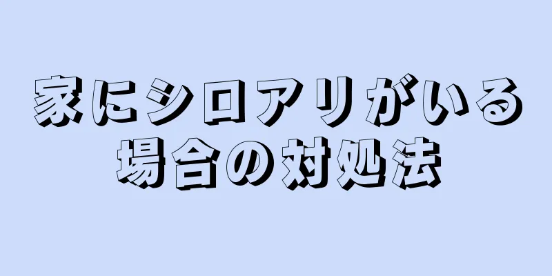 家にシロアリがいる場合の対処法