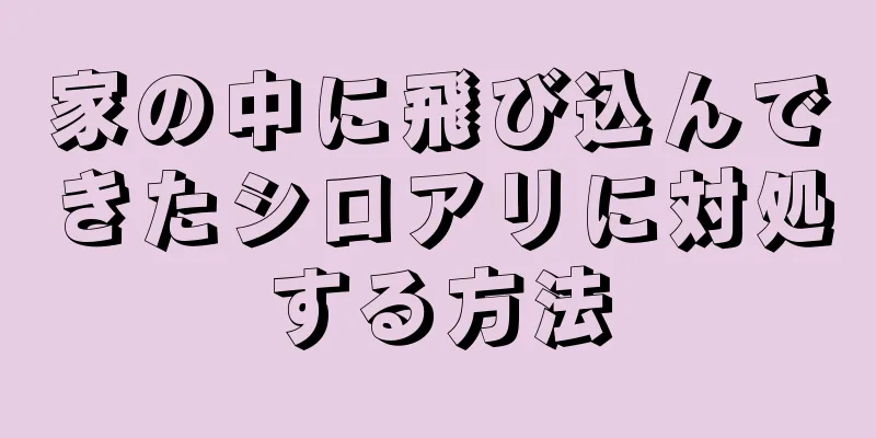 家の中に飛び込んできたシロアリに対処する方法