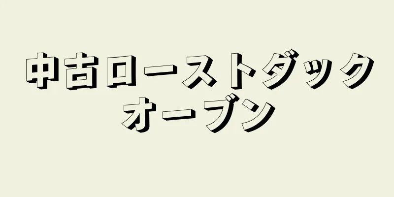 中古ローストダックオーブン