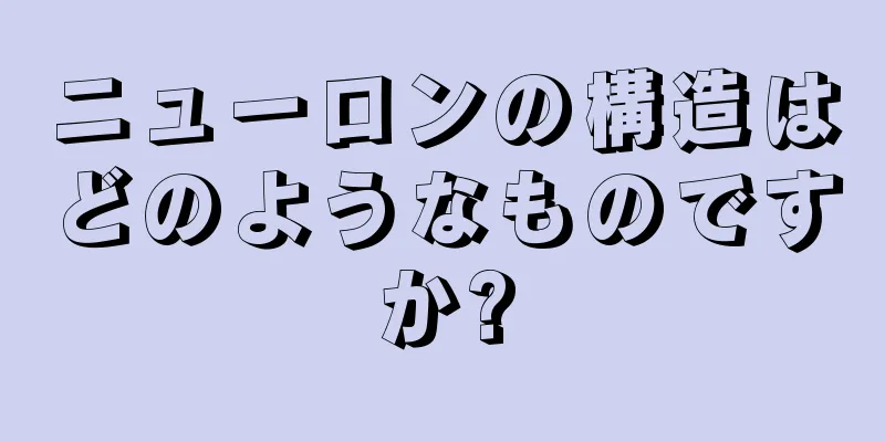 ニューロンの構造はどのようなものですか?