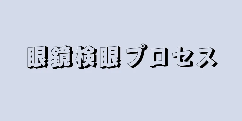 眼鏡検眼プロセス