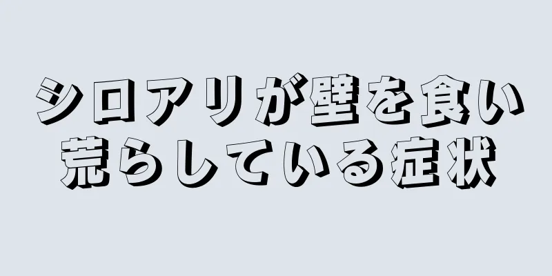 シロアリが壁を食い荒らしている症状