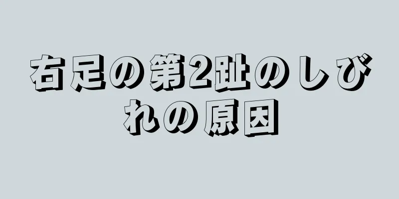 右足の第2趾のしびれの原因