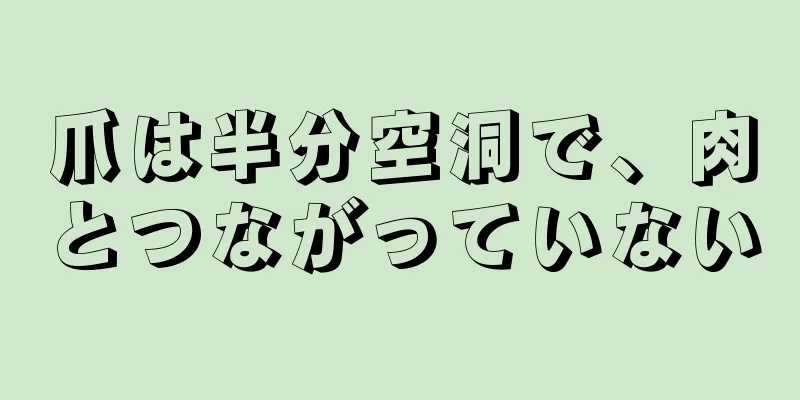 爪は半分空洞で、肉とつながっていない