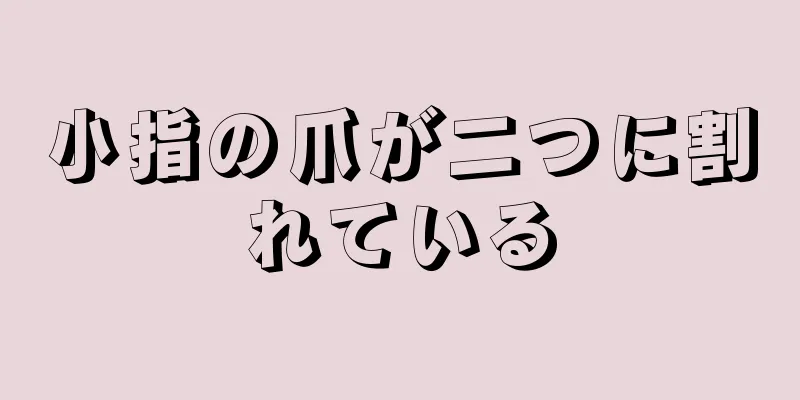 小指の爪が二つに割れている