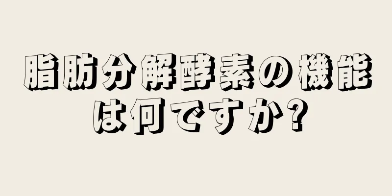 脂肪分解酵素の機能は何ですか?