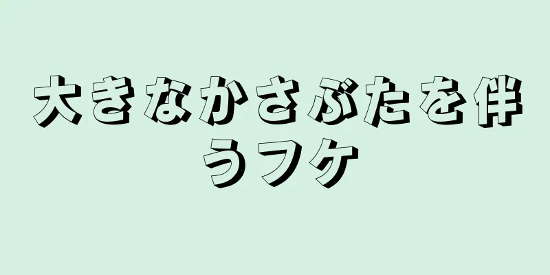 大きなかさぶたを伴うフケ