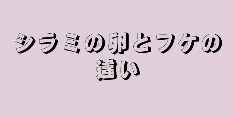 シラミの卵とフケの違い